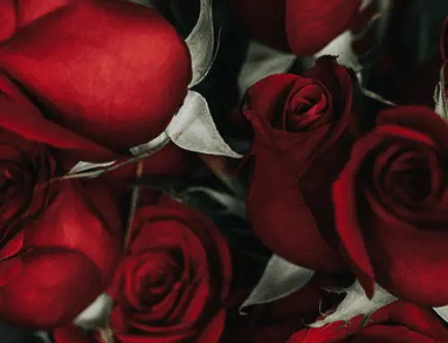 Regain Your Romantic Rhythm
